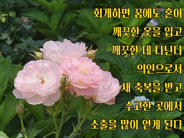  jms 정명석목사 잠언 ㅡ 회개하면