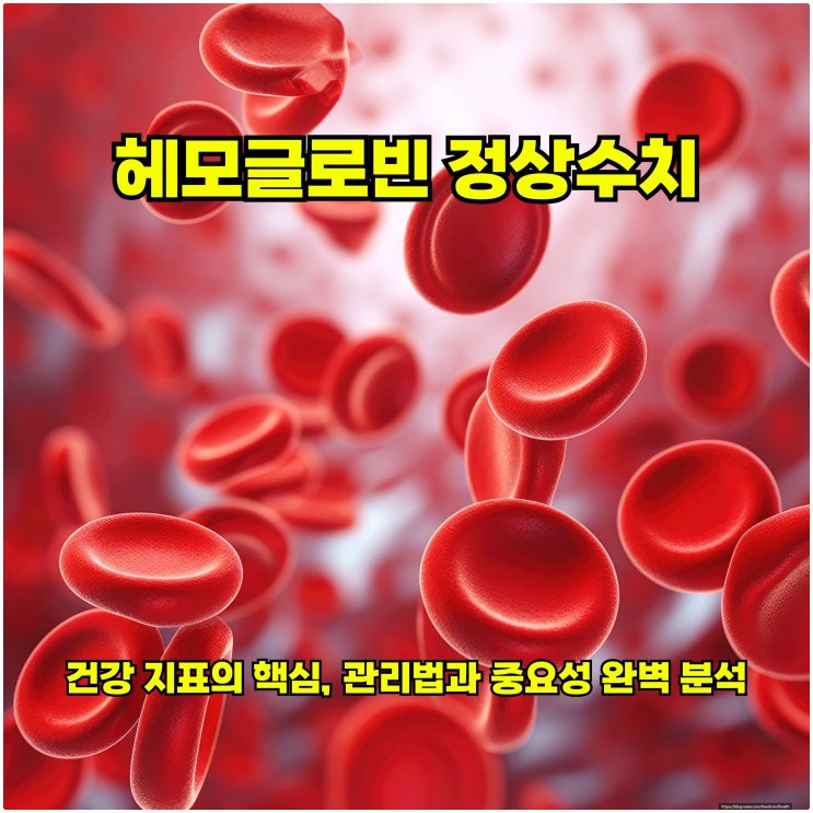  헤모글로빈 정상수치: 건강 지표의 핵심, 관리법과 중요성 완벽 분석