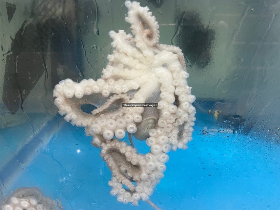 궁전본가 사진 5