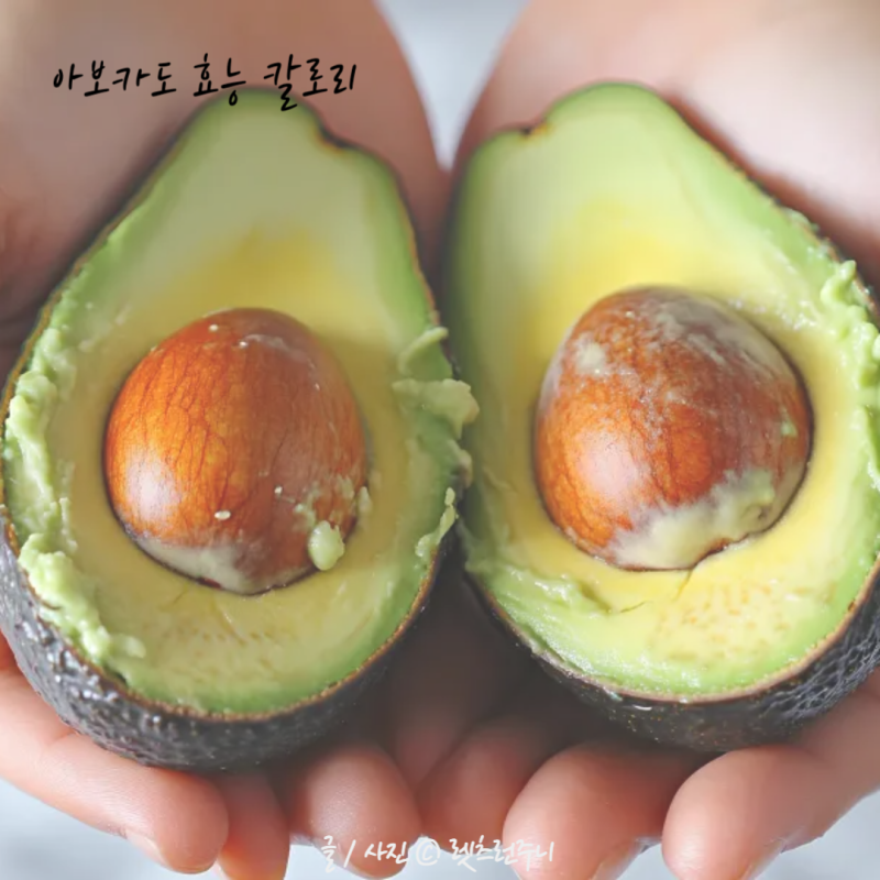 아보카도 한개 칼로리 알고먹자! 효능 까지 총정리