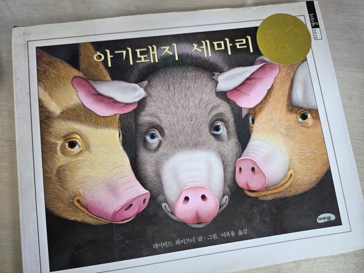  생각하는 그림책 이야기 - < 아기돼지 세 마리_데이비드 위즈너 >