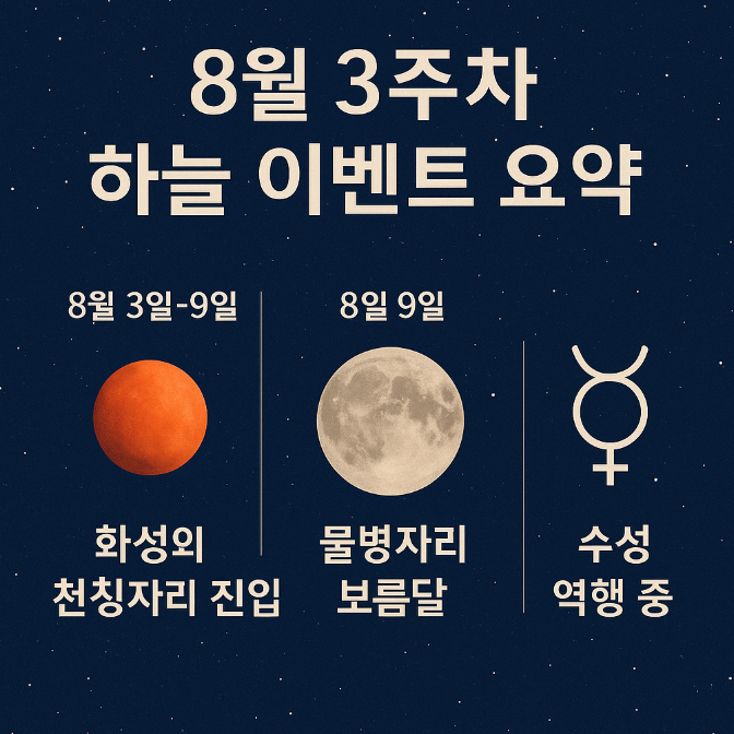  2025년 8월 3주차 12별자리 운세 – 앨리와 함께하는 별 이야기