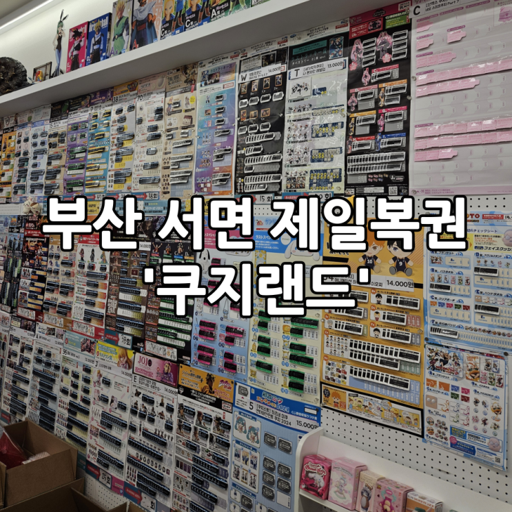  부산 서면 제일복권 피규어샵 애니굿즈 산리오 전문점 '쿠지랜드'