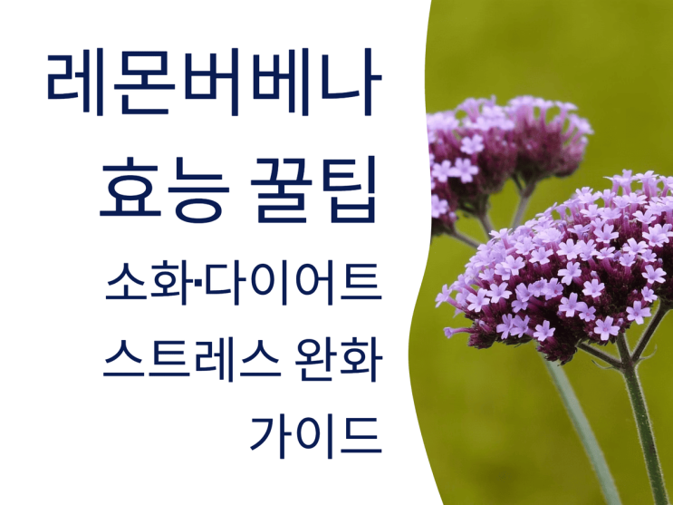  레몬버베나 효능 꿀팁: 소화·다이어트·스트레스 완화 가이드
