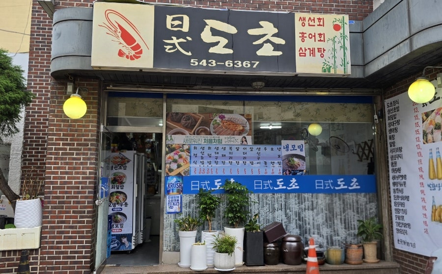 도초 사진 1