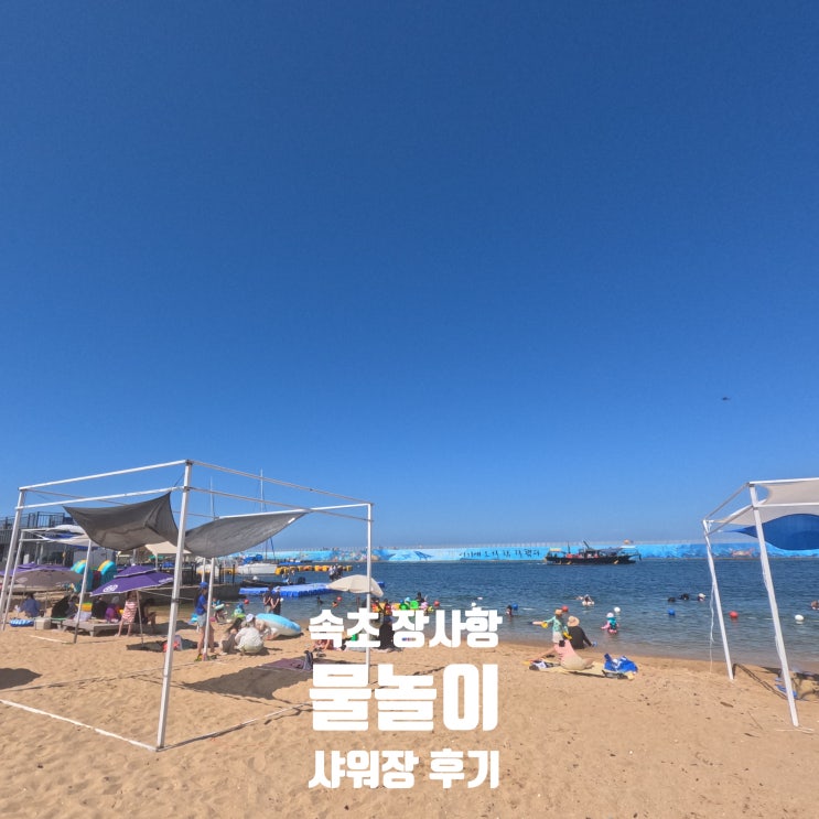  강원도 속초 | 장사항 스노쿨링 파라솔 대여 가격 후기 잔잔한 바다  물놀이 스팟 및 샤워장