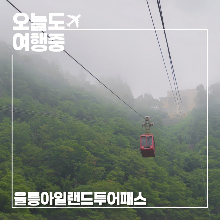  울릉아일랜드투어패스 하나로 완성! 울릉 여행 코스 꿀팁 총정리