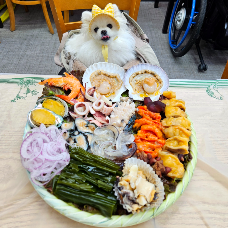 사진 7