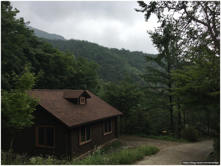  산음자연휴양림 숲속의집 1박2일 여름 나기 후기