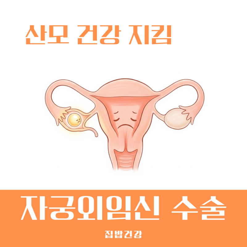 자궁외임신 수술의 모든것 비용 회복 기간 수술 과정 총정리