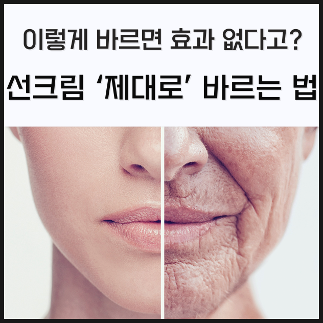  2025년 피부를 보호하는 추천 선크림 TOP 5 상품과 후기 정보