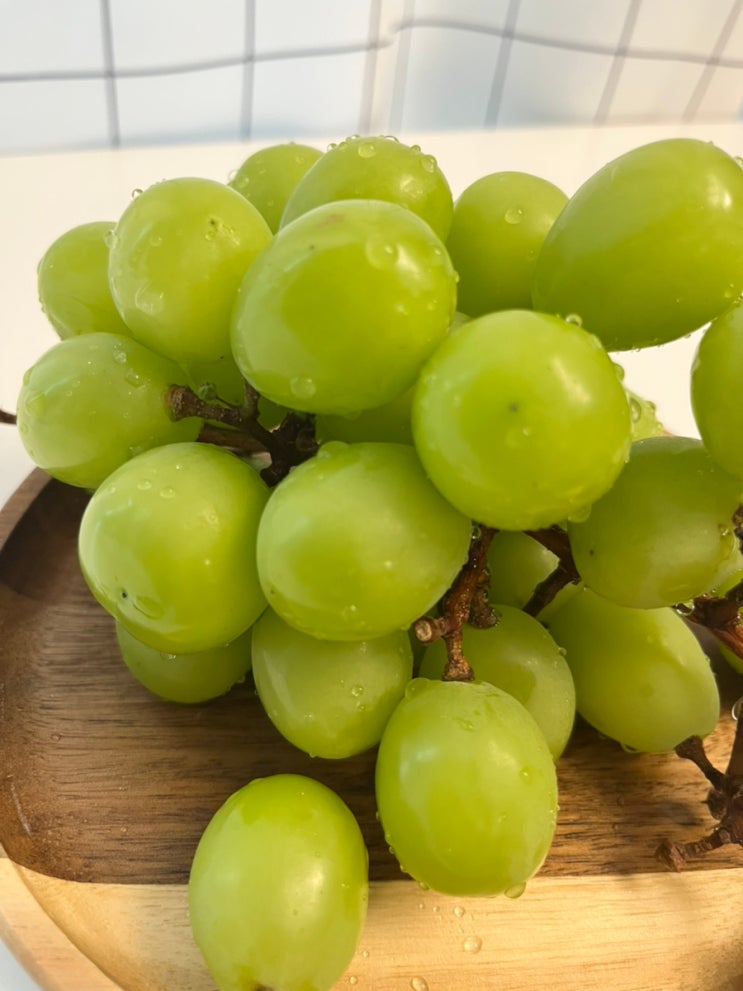  아이와 함께 먹는 신선한 달콤함, 경산 샤인머스켓 먹어본 후기
