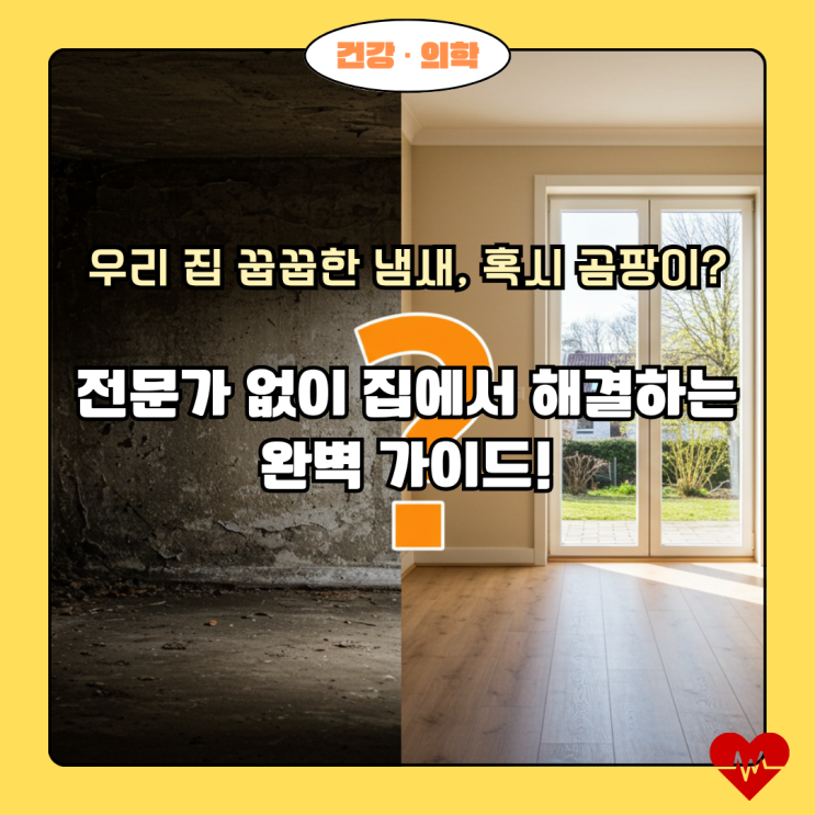  곰팡이 냄새 제거, 전문 업체 없이 집에서 해결하는 완벽 가이드!