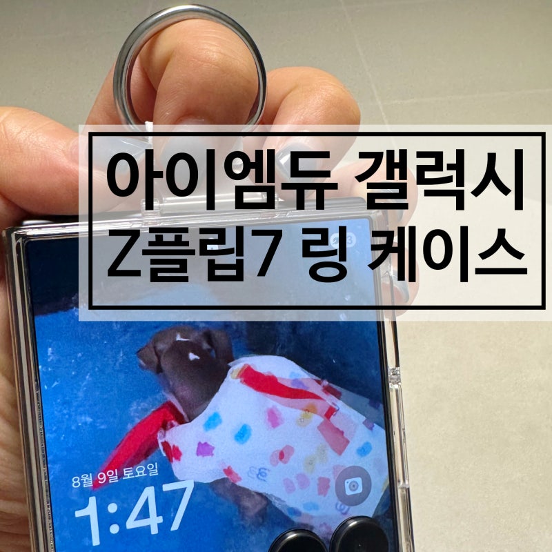 Z플립7 케이스 추천! 아이엠듀 갤럭시 제트플립7 링 케이스 사용 후기
