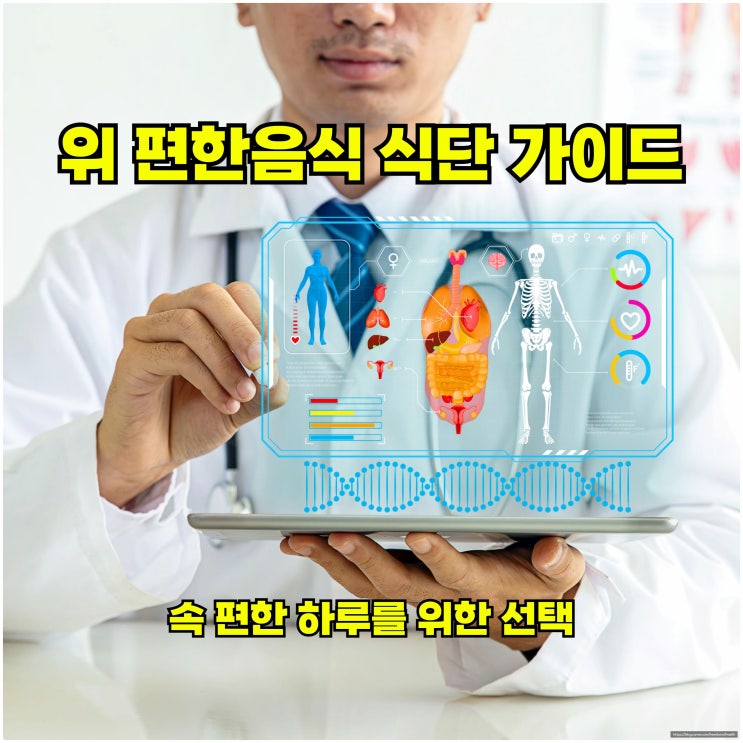  위 편한 음식 식단 가이드: 속 편한 하루를 위한 선택