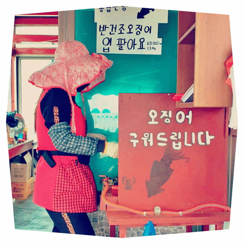 방독 마스크 종류와 기능 비교로 보는 안전 선택법