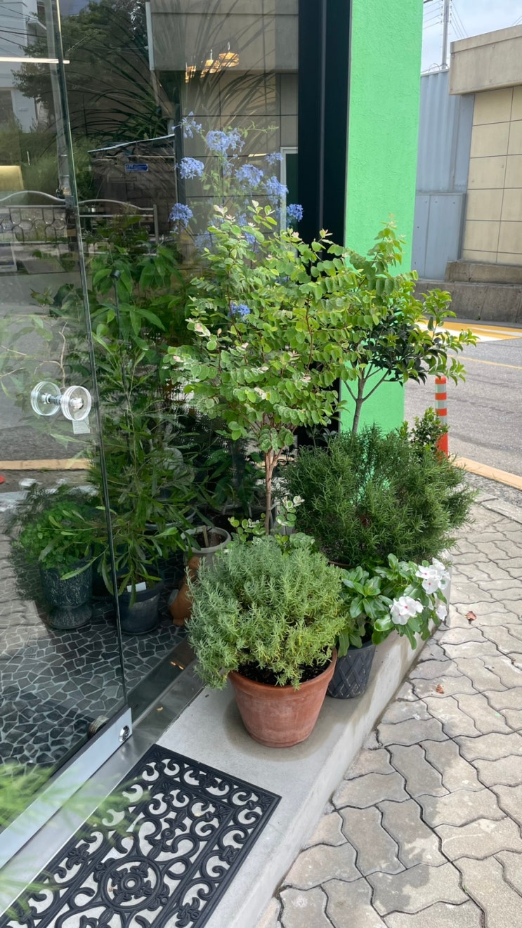 저가항공사 LCC 출혈 경쟁, 일본관세 혼선, <b>6월 경상수지 흑자</b>