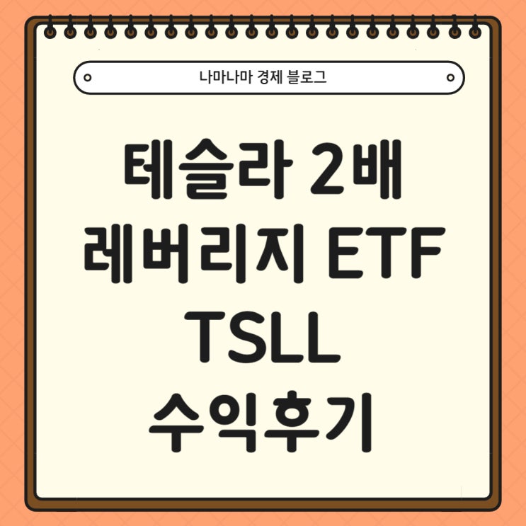  [미국주식] 테슬라 2배 레버리지 TSLL 수익후기