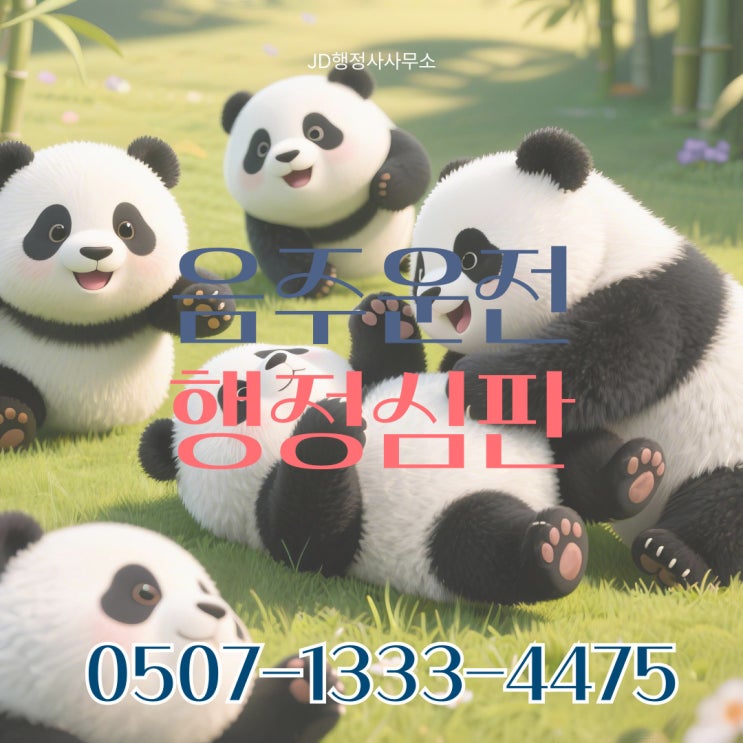  음주운전 구제절차 총정리 – 준비서류부터 결과까지 한눈에 보기 일산행정사 파주행정사