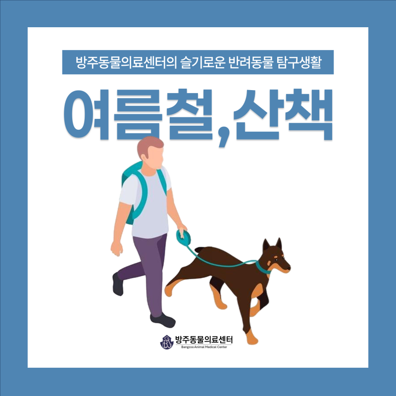 사진 4
