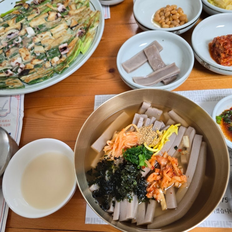  [ 대구 만촌동 맛집 ] 『 안동묵집 』 메밀파전, 묵채밥 솔직후기