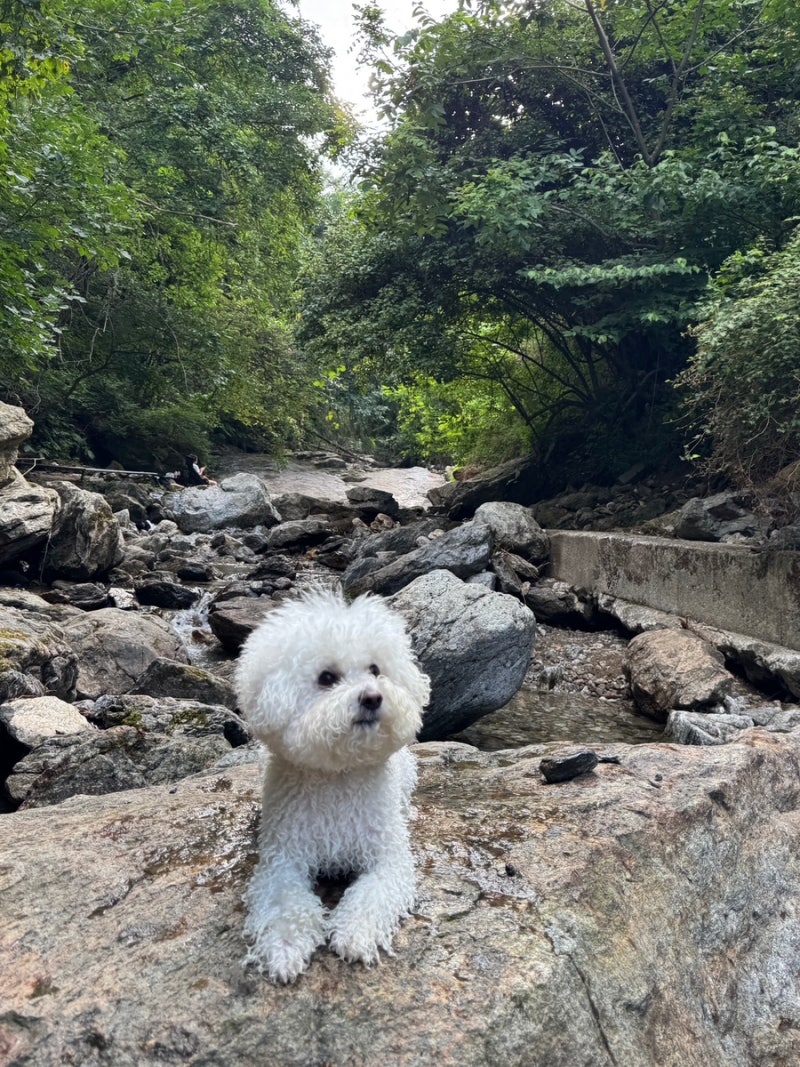 소소온기
