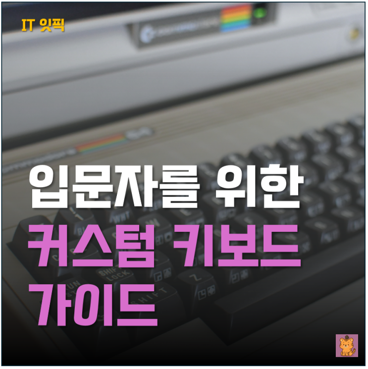  입문자를 위한 커스텀 키보드 가이드 - 키캡, 하우징, 케이블 완벽 정리