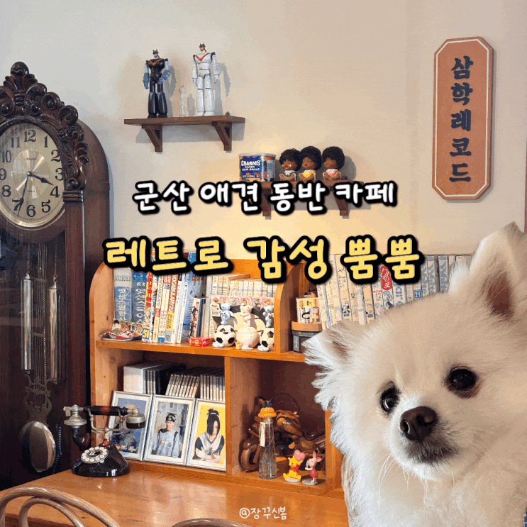  군산 캔모아 느낌 레트로 카페 삼학레코드 실내 애견 동반 가능
