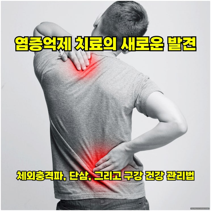  염증 억제 치료의 새로운 발견: 체외 충격파, 단삼, 그리고 구강 건강 관리법