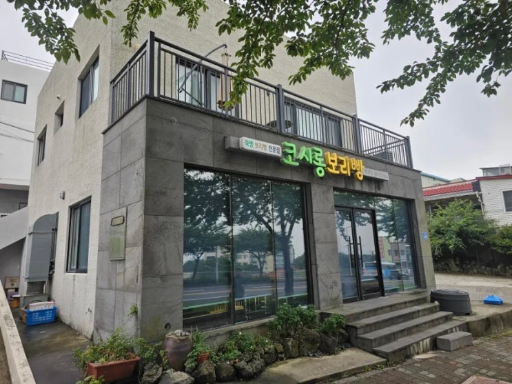  제주 찰보리빵 맛집 코시롱보리빵 후기 : 선물추천 전국택배
