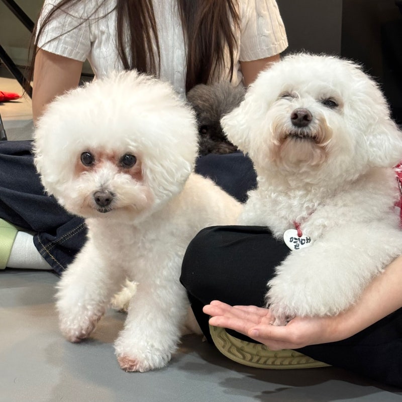 사진 10