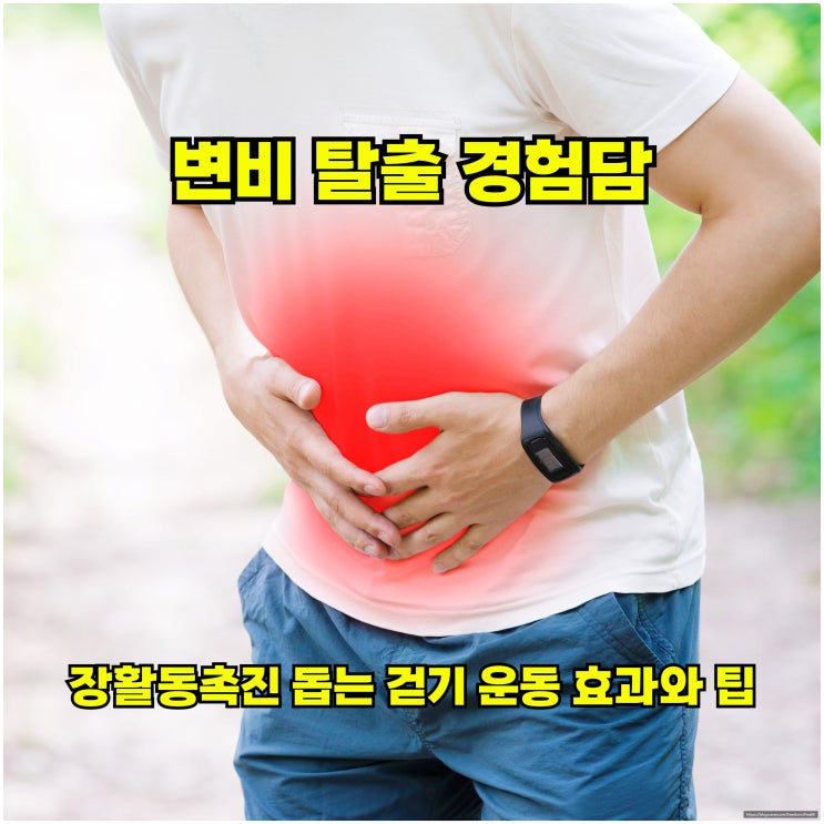  장활동촉진 돕는 걷기 운동 효과와 팁: 변비 탈출 경험담