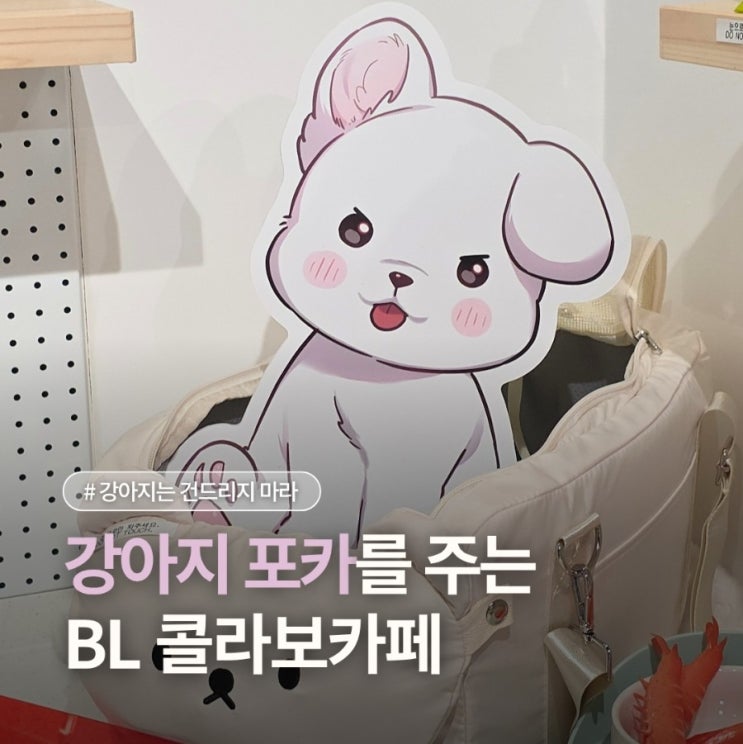  250804 <강아지는 건드리지 마라> 콜라보카페 방문 후기