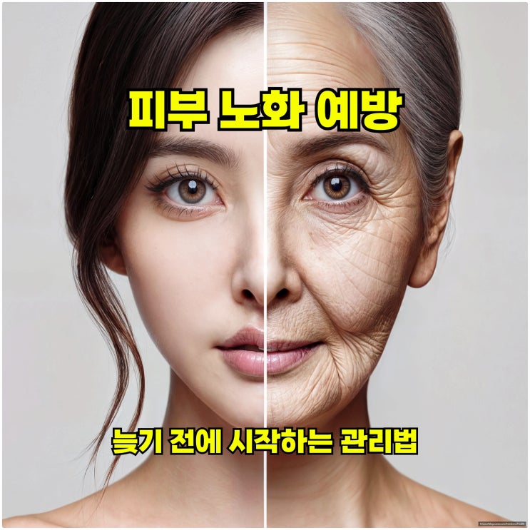  피부 노화 예방: 늦기 전에 시작하는 관리법