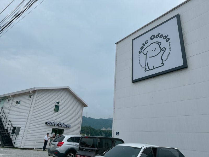 사진 5