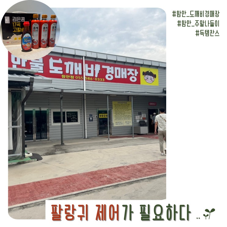  함안 도깨비 경매장 주말 나들이 나의 팔랑귀 제어가 필요하다