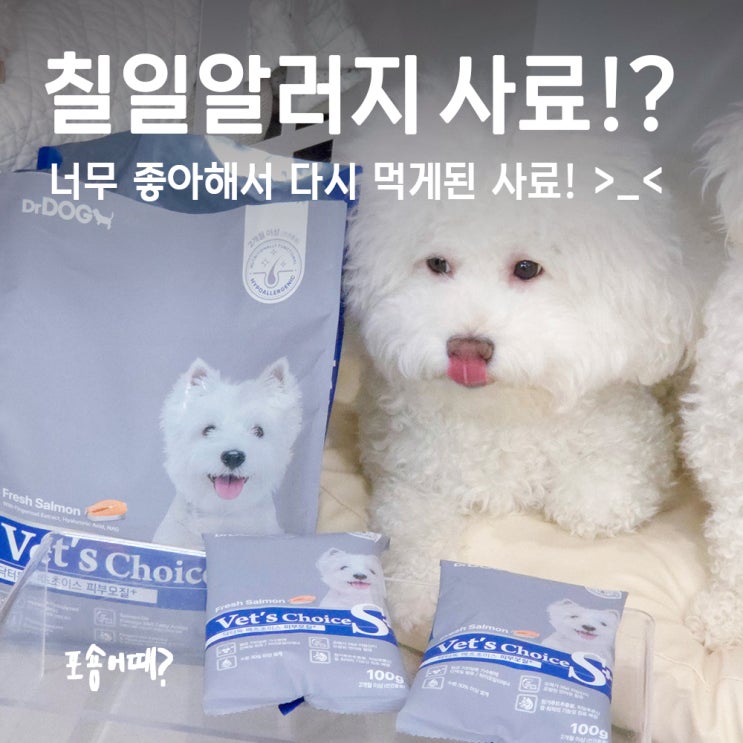  수의사 하이포알러제닉사료 칠일알러지 아토피 비숑 픽!