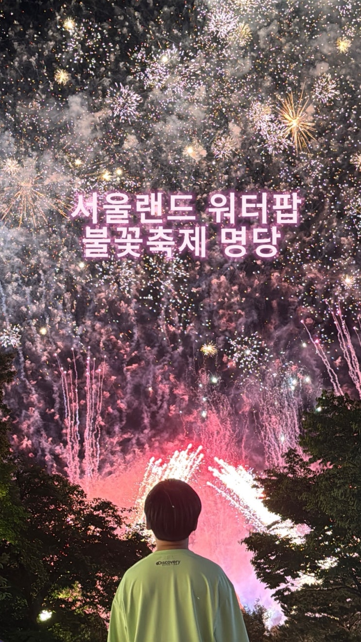  서울랜드 워터팝 & 불꽃축제 여름밤 BEST 명당 포인트 총정리