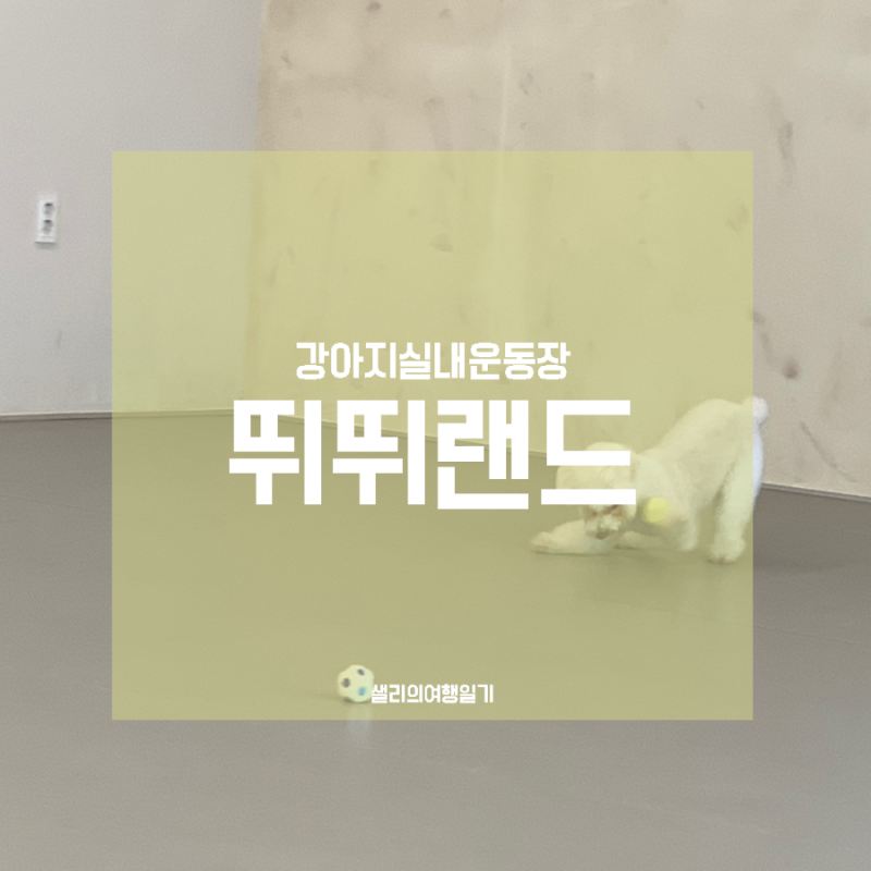 사진 2