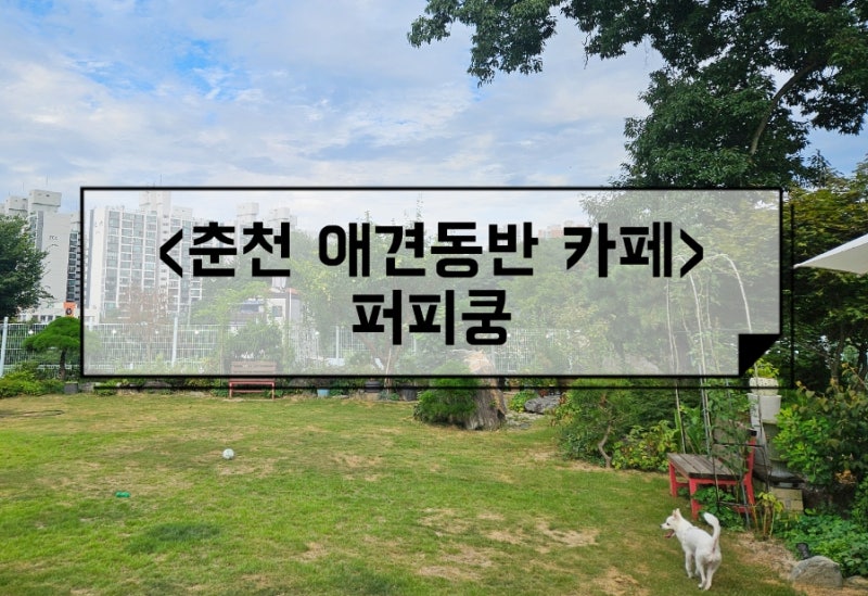 퍼피쿵