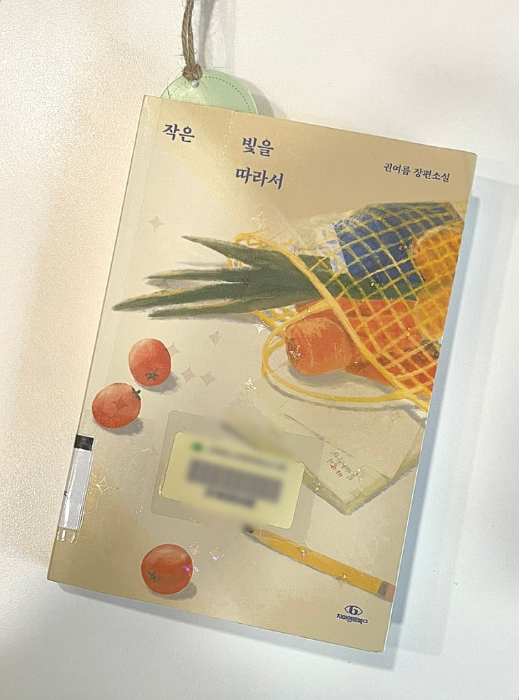  실패의 순간에 도사리는 성공의 순간들, 작은 빛을 따라서 - 권여름 -