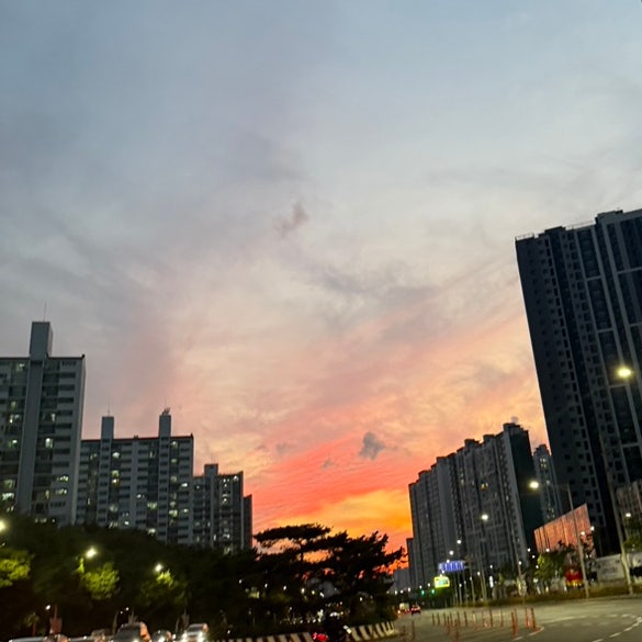  내돈내산 손등 손가락 팔 레이저제모 2회차 후기