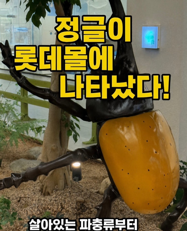  부산 여행!? 여름방학!? 여기서 끝! 롯데몰동부산 곤충박물관