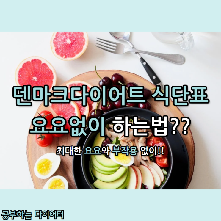  [덴마크다이어트 식단표] 충격공개! 2주 10kg 감량 진실과 숨겨진 부작용