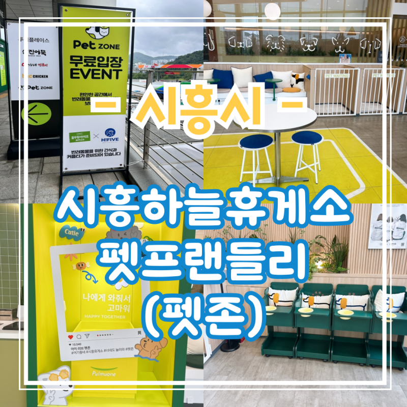 사진 5