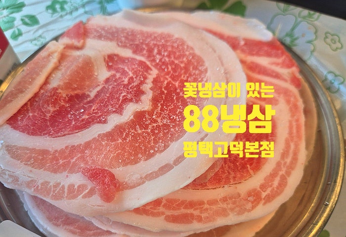  평택맛집 국내산 꽃냉삼이 있는 88냉삼 평택고덕본점