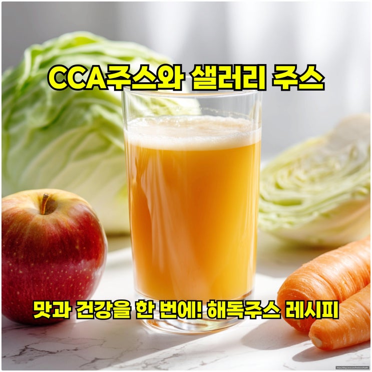  맛과 건강을 한 번에! 해독주스 레시피: CCA 주스와 샐러리 주스
