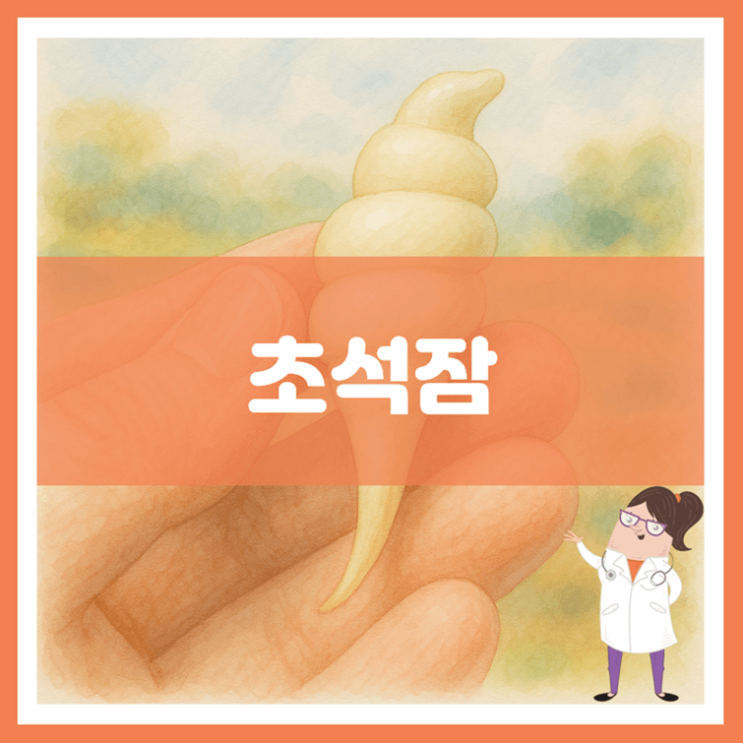  초석잠 효능 부작용 보관방법