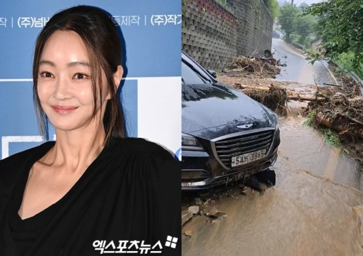 ‘폭우로 차량 반파’ 서효림, 보험사 대응에 분노…“피해자를 죄인 취급”