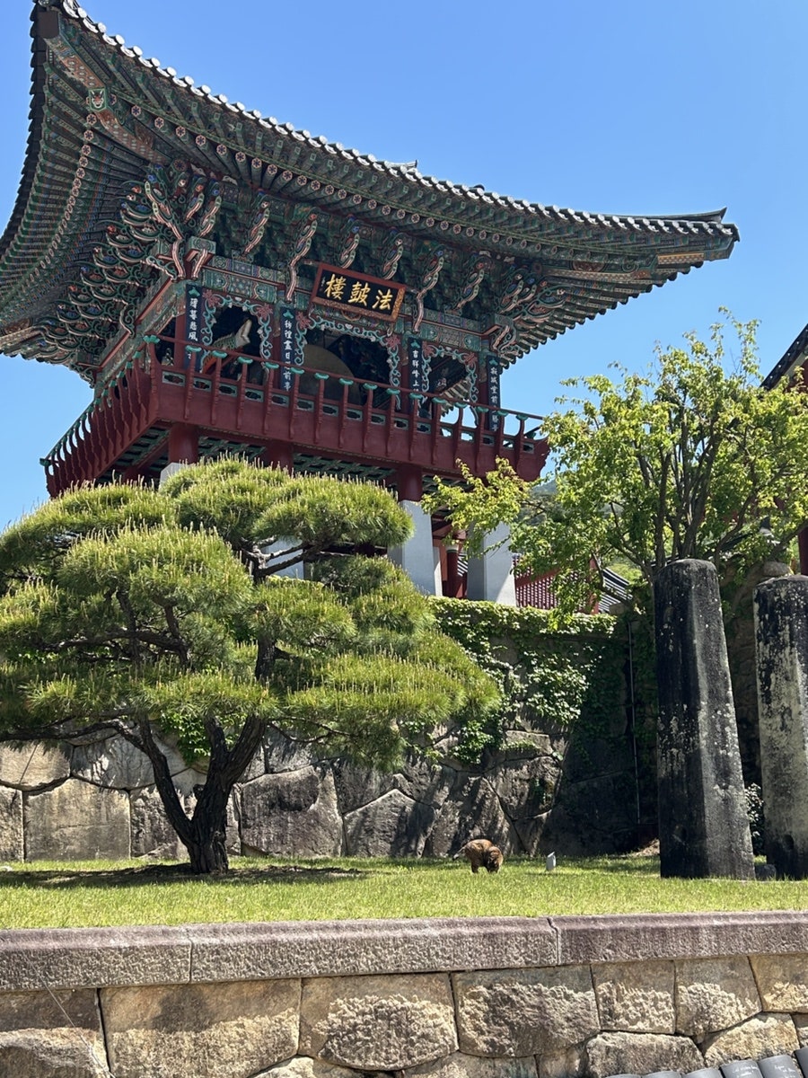 진주황포냉면 사진 6